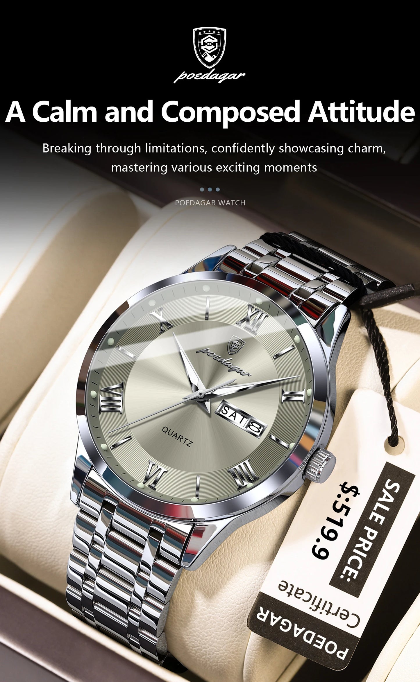 Luxury Stainless Steel Wristwatch